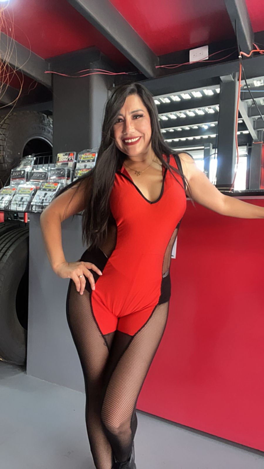 Modelo 6