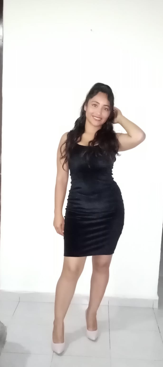 Modelo 1